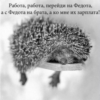 Правда жизни - caa678e6c29944a2dc30c27e8aq5.jpg