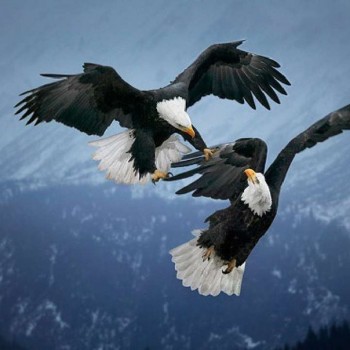 Назидательные истории и притчи - h-3132.jpg