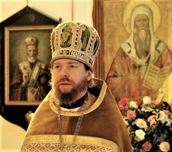 Подорожник - image.jpg