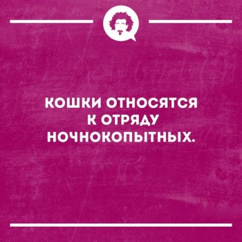 Правда жизни - 33814859_1285911084845316_4359848442067943424_n.jpg