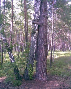 С улыбкой о многом =  - NXJj57C_TyE.jpg