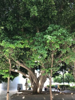 Reino de España - 19.jpg