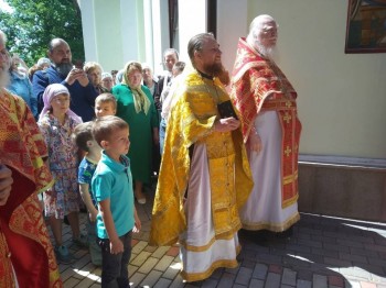 Подорожник - h-19487.jpg