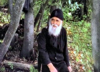 Подорожник - 1280974.jpg