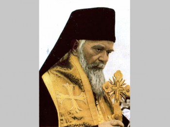 Подорожник - serbskij.jpg