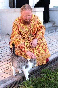 Кошки - очарование МОЁ - 37564152_258778704933827_5963645176638341120_n.jpg