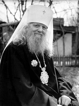 Подорожник - 1.jpg