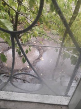 Каждая погода - благодать... - 20180725_115516.jpg