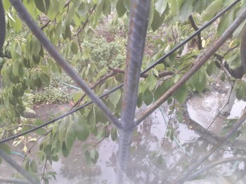 Каждая погода - благодать... - 20180725_115551.jpg