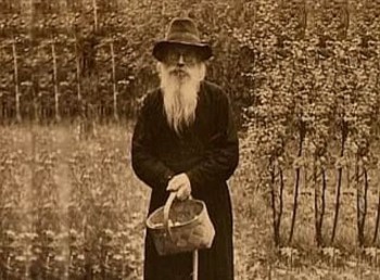 Подорожник - 8.jpg