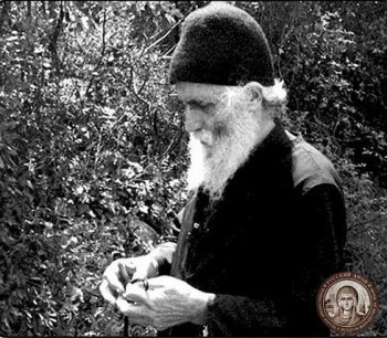 Подорожник - 28.jpg