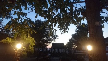 Каждая погода - благодать... - DSC_4248.JPG