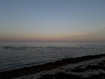 Каждая погода - благодать... - 20180816_192704.jpg