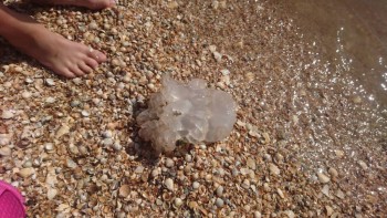 Каждая погода - благодать... - DSC_4282.JPG