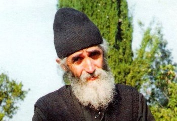 Подорожник - 19.jpg