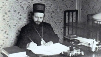 Подорожник - 2.jpg