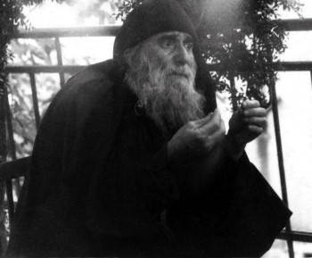 Подорожник - 5.jpg