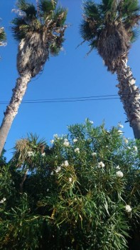 Reino de España - DSC_4480.JPG