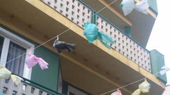 Reino de España - DSC_4464.JPG