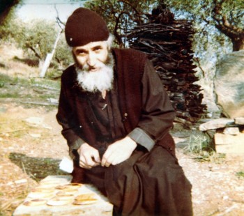 Подорожник - 9.jpg