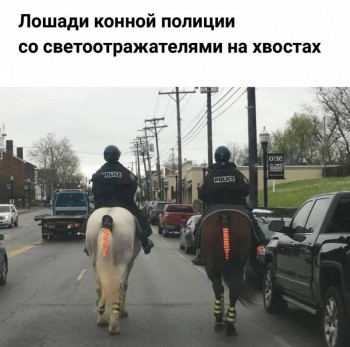 Эх, дороги... - _20180922_011234.JPG