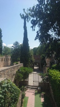 Reino de España - DSC_4581.JPG