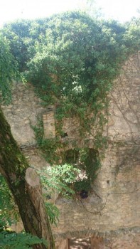 Reino de España - DSC_4586.JPG