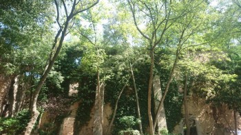 Reino de España - DSC_4589.JPG