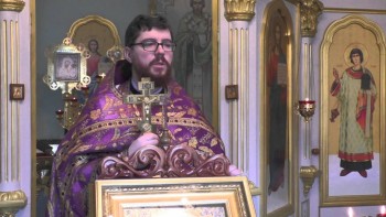 Подорожник - 4.jpg