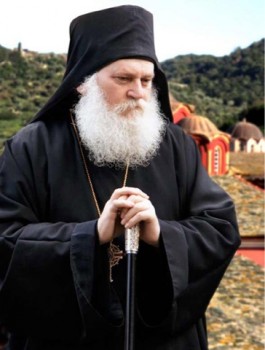 Подорожник - 2.jpeg