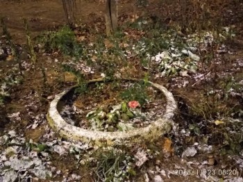 Каждая погода - благодать... - 07nvnvJBpO8.jpg