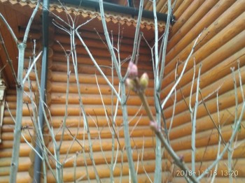 Каждая погода - благодать... - yrkKet_BBXA.jpg