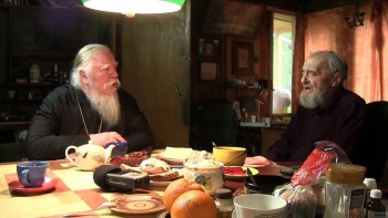 Подорожник - 0.jpg