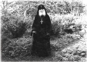 Подорожник - 2.jpg