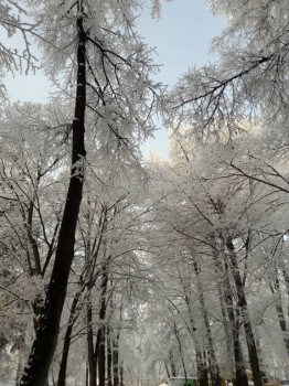 Каждая погода - благодать... - 20181220_130743.jpg