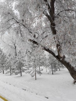 Каждая погода - благодать... - 20181219_130716.jpg