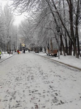 Каждая погода - благодать... - 20181219_132124.jpg