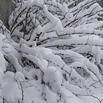 Каждая погода - благодать... - IMG_20190107_134140_677.jpg