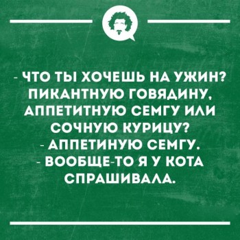 Кошки - очарование МОЁ - 50931718_1598730503563371_750213993565519872_n.jpg