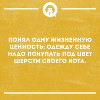 Кошки - очарование МОЁ - 51074253_1596478040455284_5794339953831837696_n.jpg