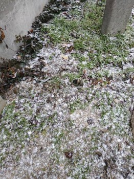 Каждая погода - благодать... - IMG_20190208_150810.jpg