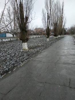 Каждая погода - благодать... - IMG_20190208_150243.jpg