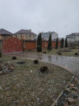 Каждая погода - благодать... - IMG_20190208_150456.jpg