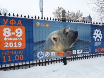 Каждая погода - благодать... - 20190210_102700.jpg