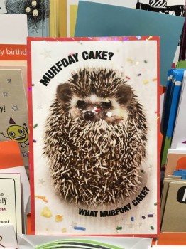 Ёжики, ежи, ежата - B6BA1A2F-EC9C-4E04-A688-37AB293E2E48.jpeg