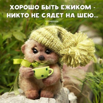 Аватар, аватар, аватар.... - 57540197_2316096795117582_3180261061773230080_n.jpg