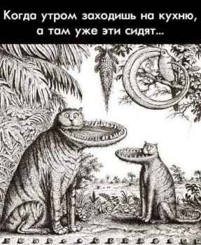 Правда жизни - 60873568_1036024056588455_598155735922114560_n.jpg