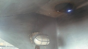 Маленькие сенсации в мире животных, и просто интересное - tmp-cam-974885478.jpg