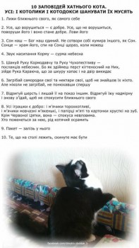 Кошки - очарование МОЁ - 10 зап кота.jpg