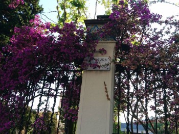 Reino de España - DSC_0545.JPG